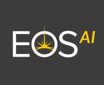software logo